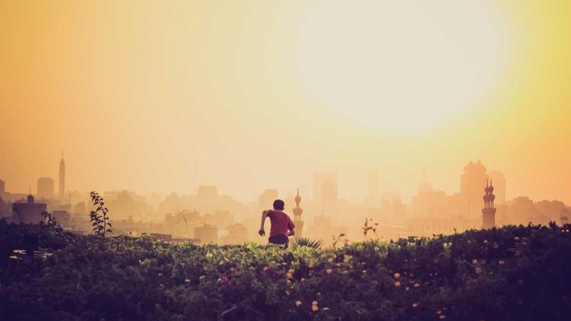 2026年下半年糖心视频人物关系趋势
